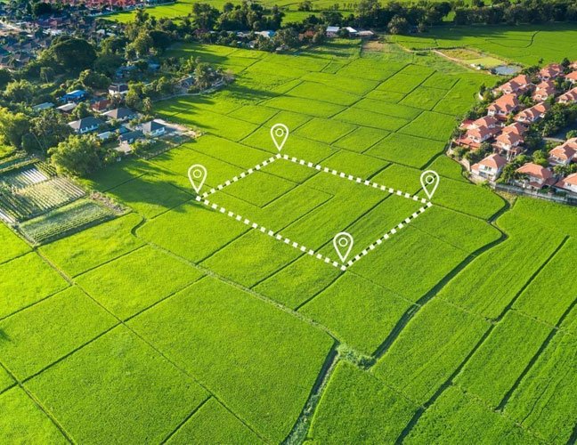 single thumbnail image